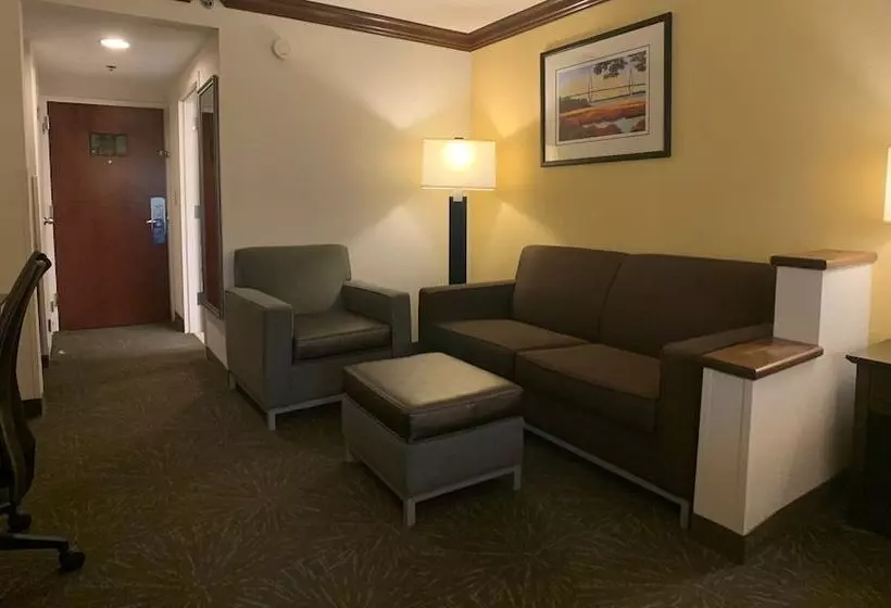 Holiday Inn Express Hotel & Suites Charleston Ashley Phosphate, An Ihg