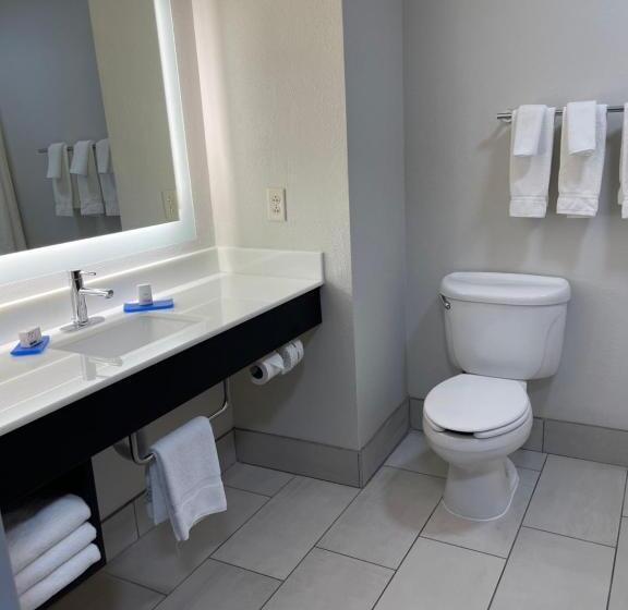 Holiday Inn Express Hotel & Suites Las Vegas, An Ihg