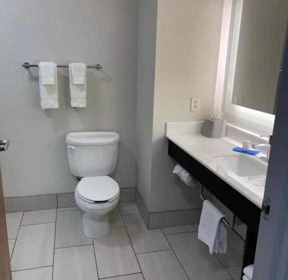 Holiday Inn Express Hotel & Suites Las Vegas, An Ihg