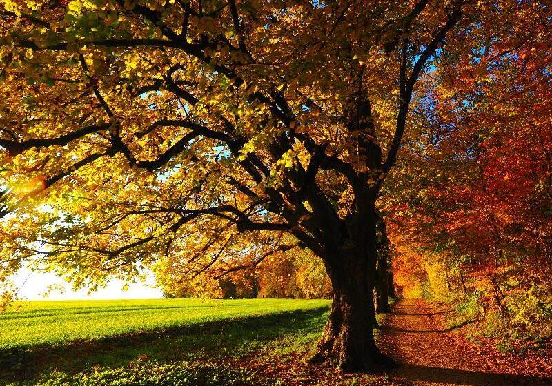 Holiday Inn Express Hotel & Suites Youngstown   North Lima/boardman, An Ihg