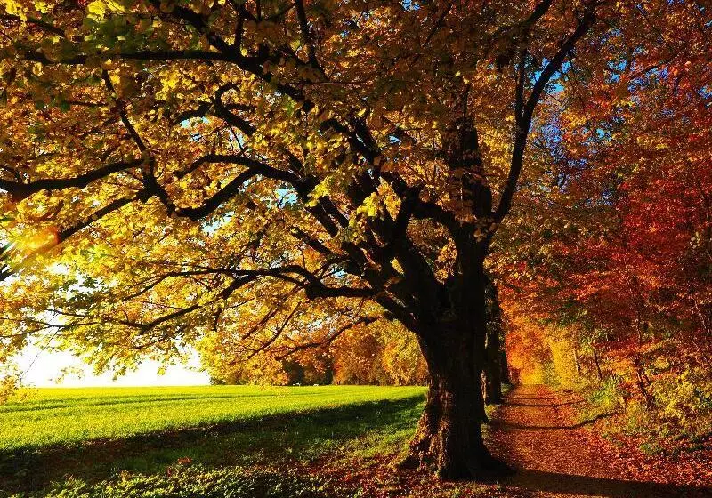 Holiday Inn Express Hotel & Suites Youngstown North Lima/boardman, An Ihg