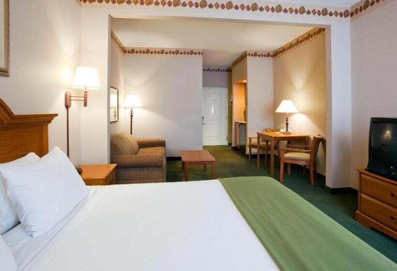 호텔 Holiday Inn Express & Suites Winner By Ihg