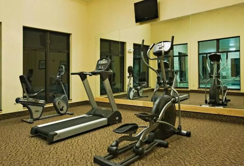 Holiday Inn Express Hotel And Suites Borger, An Ihg