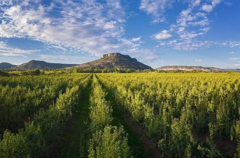 Holiday Inn Express Hotel & Suites Medford Central Point, An Ihg