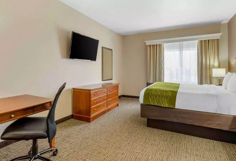 בית מלון כפרי Comfort Inn & Suites Davenport   Quad Cities