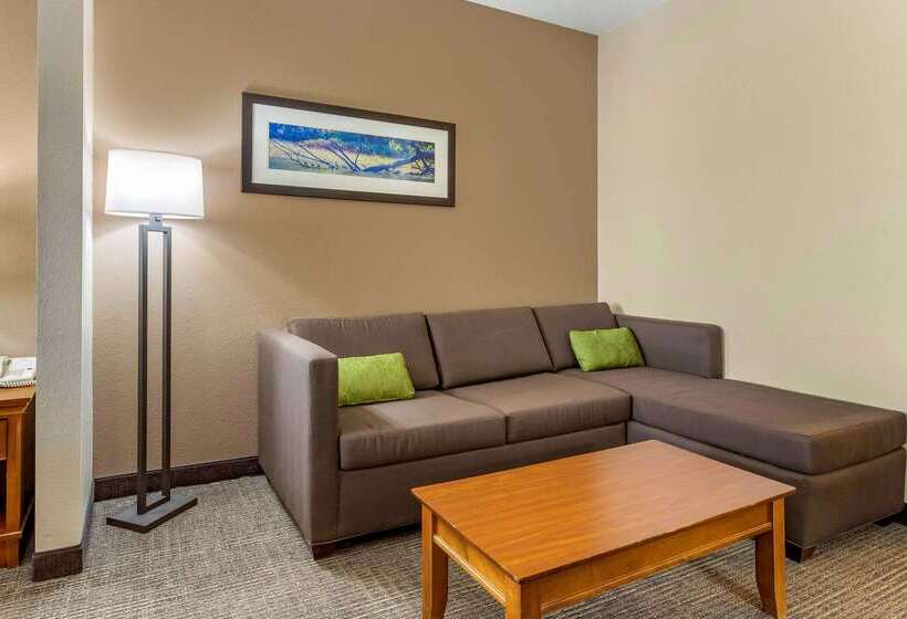 בית מלון כפרי Comfort Inn & Suites Davenport   Quad Cities