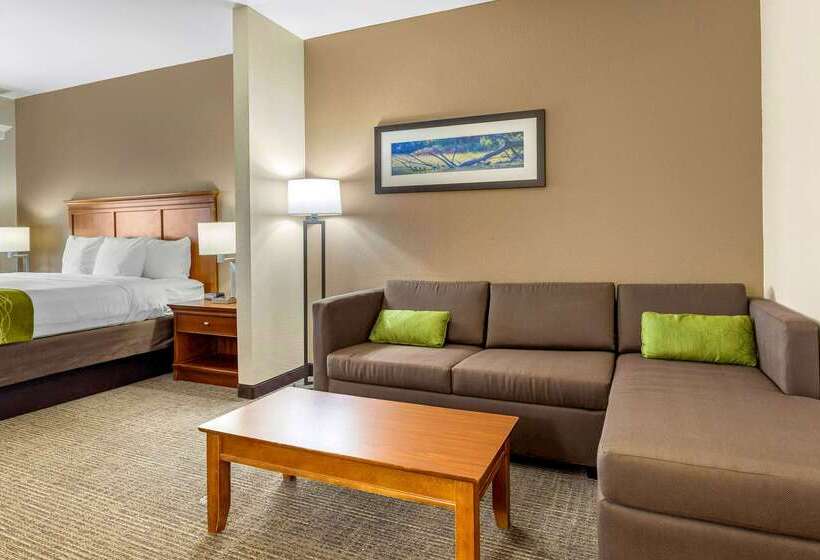 בית מלון כפרי Comfort Inn & Suites Davenport   Quad Cities