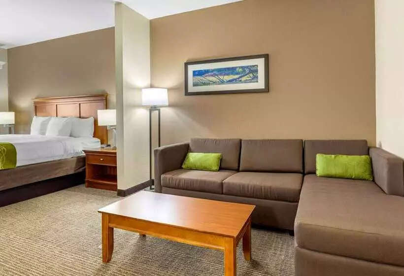 בית מלון כפרי Comfort Inn & Suites Davenport   Quad Cities