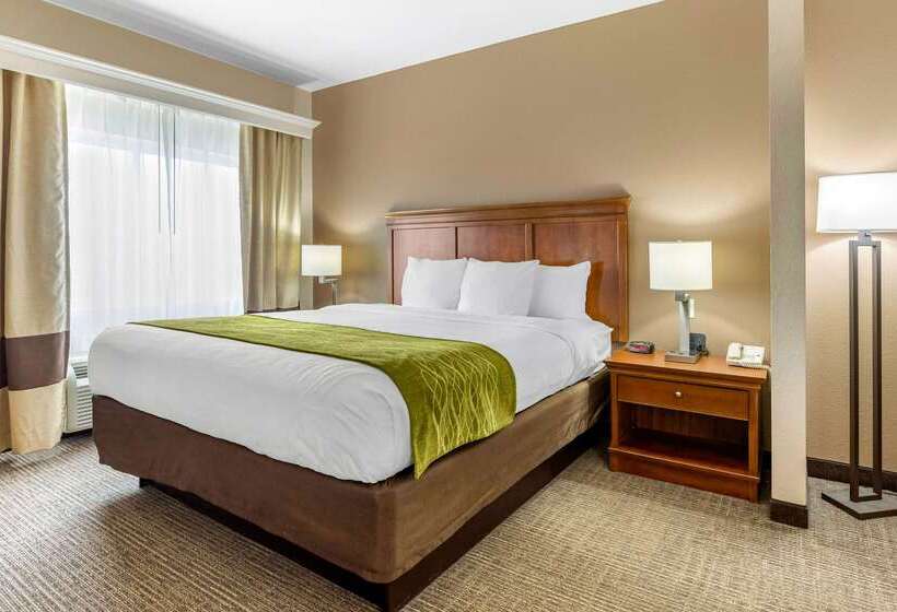 בית מלון כפרי Comfort Inn & Suites Davenport   Quad Cities