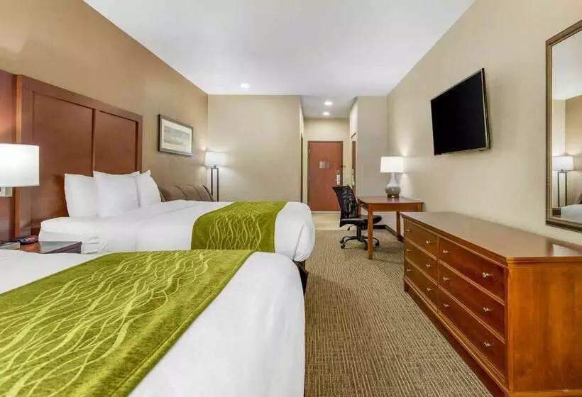 בית מלון כפרי Comfort Inn & Suites Davenport   Quad Cities