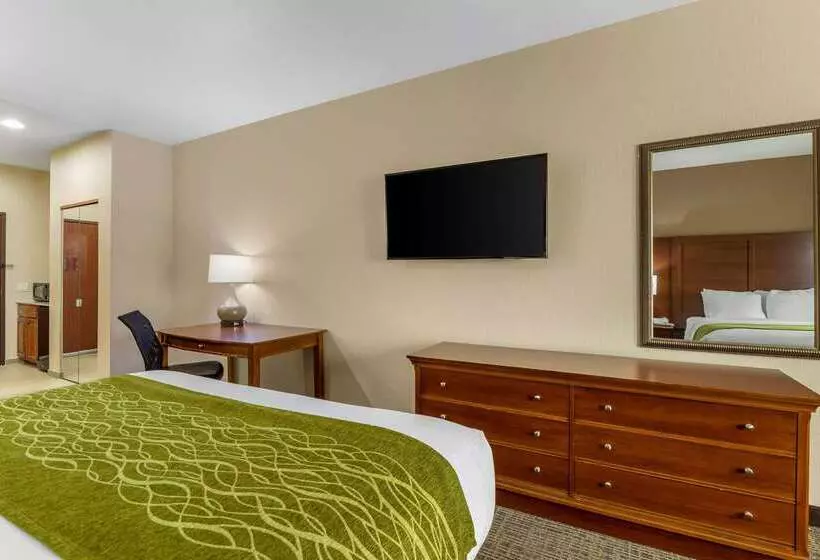 בית מלון כפרי Comfort Inn & Suites Davenport   Quad Cities