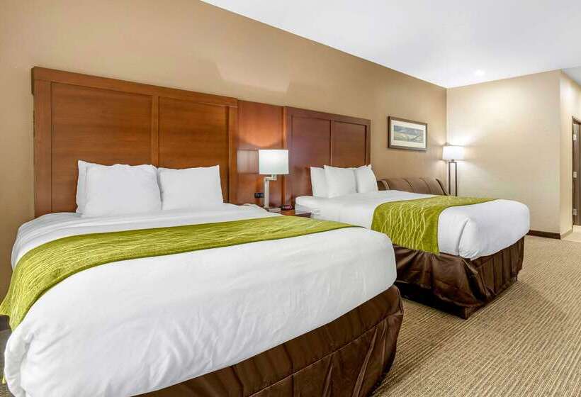 בית מלון כפרי Comfort Inn & Suites Davenport   Quad Cities