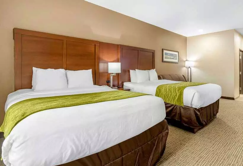 בית מלון כפרי Comfort Inn & Suites Davenport   Quad Cities