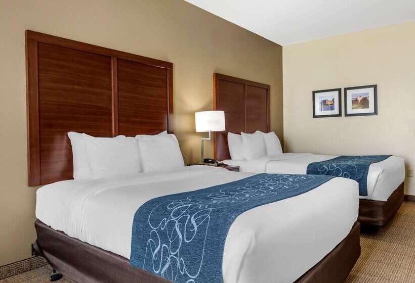 酒店 Comfort Inn & Suites Paris