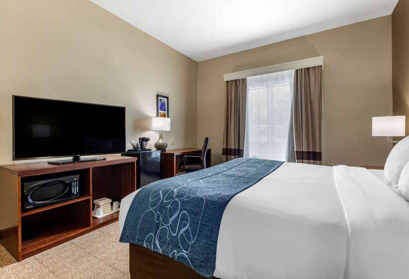 酒店 Comfort Inn & Suites Paris