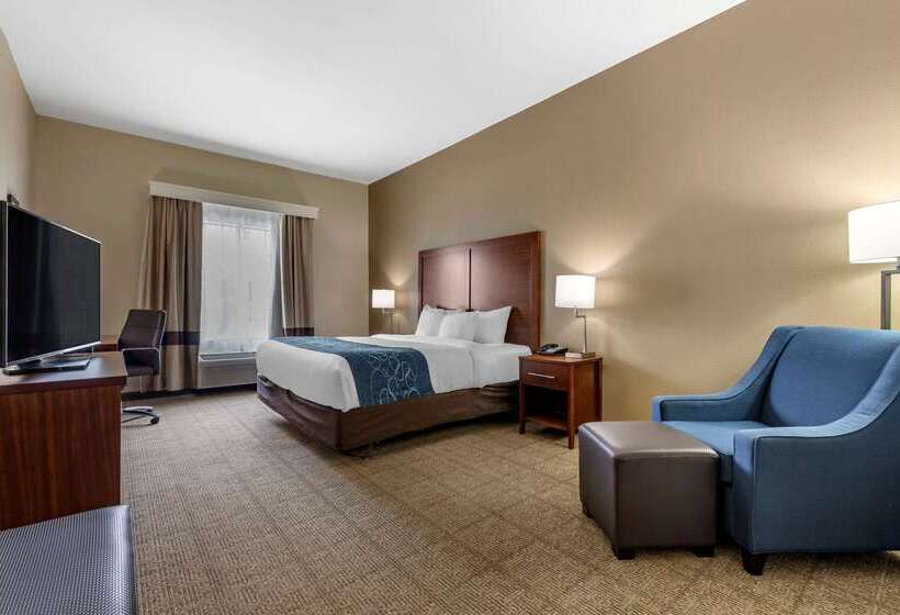 酒店 Comfort Inn & Suites Paris