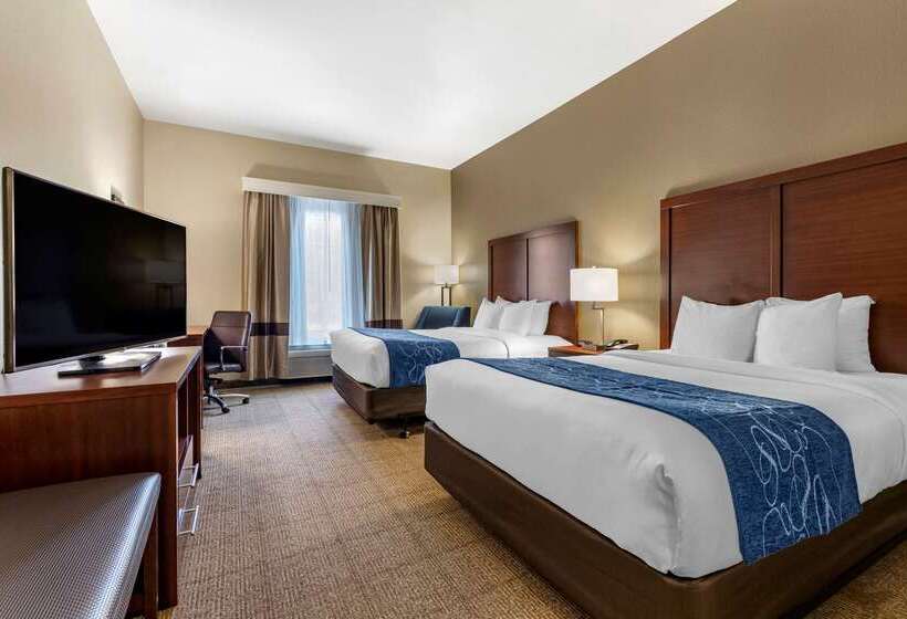 酒店 Comfort Inn & Suites Paris