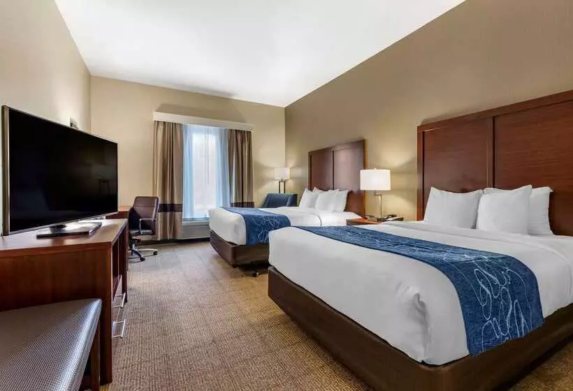 酒店 Comfort Inn & Suites Paris