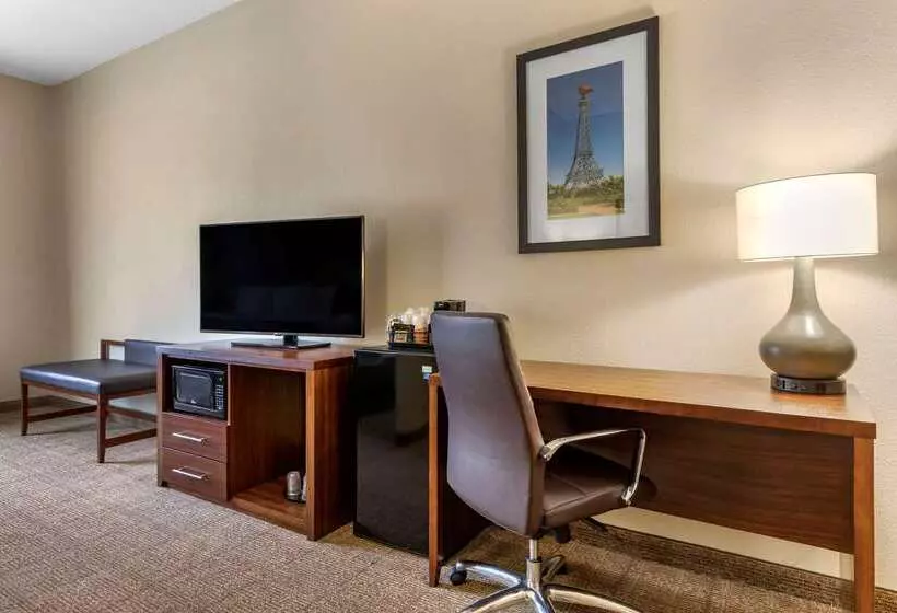 酒店 Comfort Inn & Suites Paris