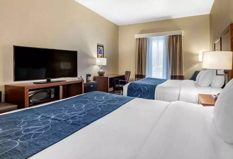 酒店 Comfort Inn & Suites Paris