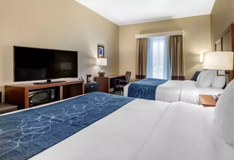 酒店 Comfort Inn & Suites Paris