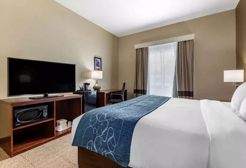 酒店 Comfort Inn & Suites Paris