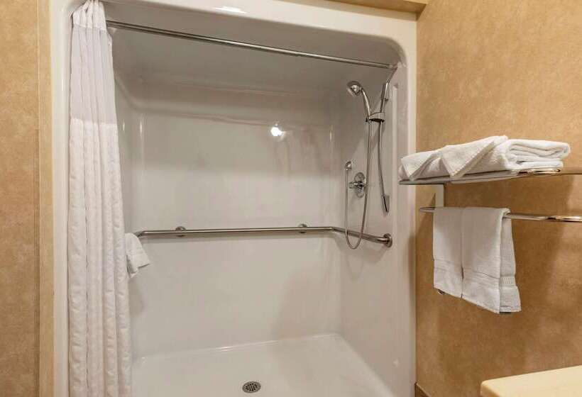 ホテル Comfort Inn & Suites Russellville I40