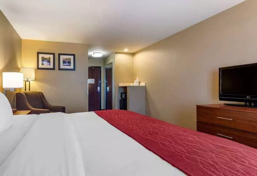 호텔 Comfort Inn & Suites Russellville I40
