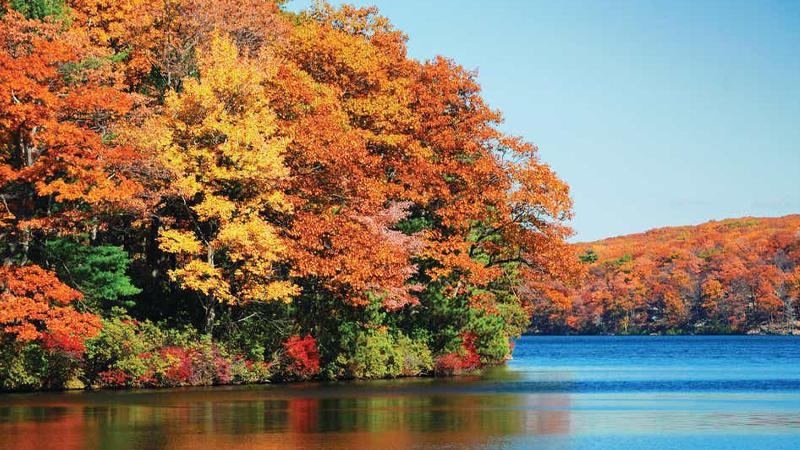 Отель Holiday Inn Club Vacations Mount Ascutney Resort, An Ihg