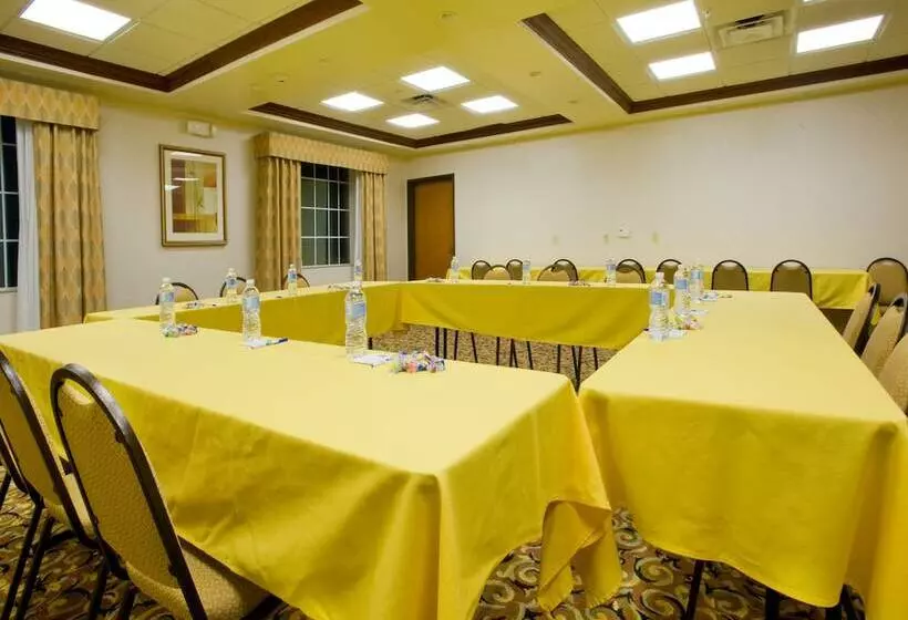 Holiday Inn Express Hotel & Suites Levelland, An Ihg