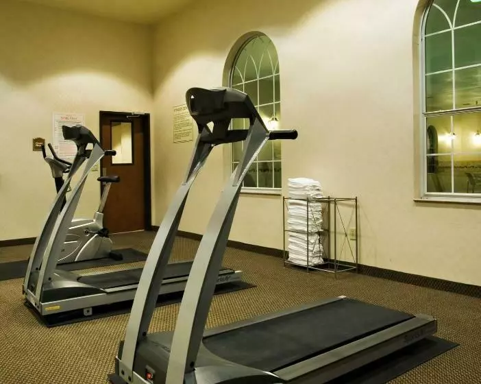 Holiday Inn Express Hotel & Suites Levelland, An Ihg