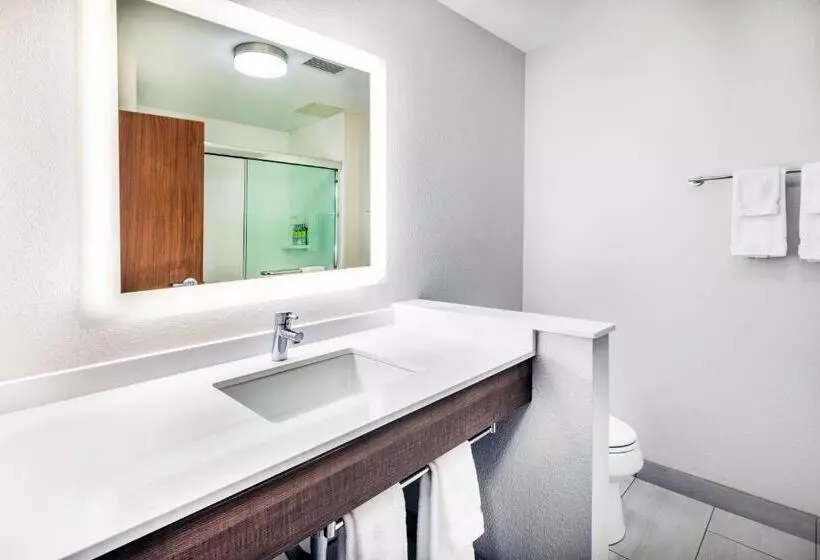 ホテル Holiday Inn Express & Suites Ozona, An Ihg