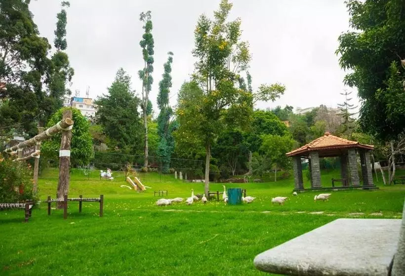 فندق Kodai International