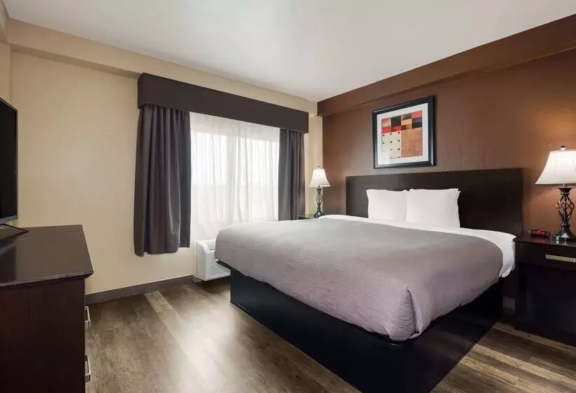 호텔 Quality Inn & Suites