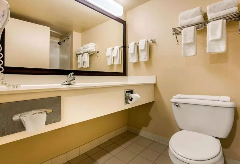 호텔 Quality Inn & Suites