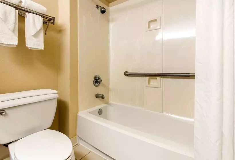 호텔 Quality Inn & Suites