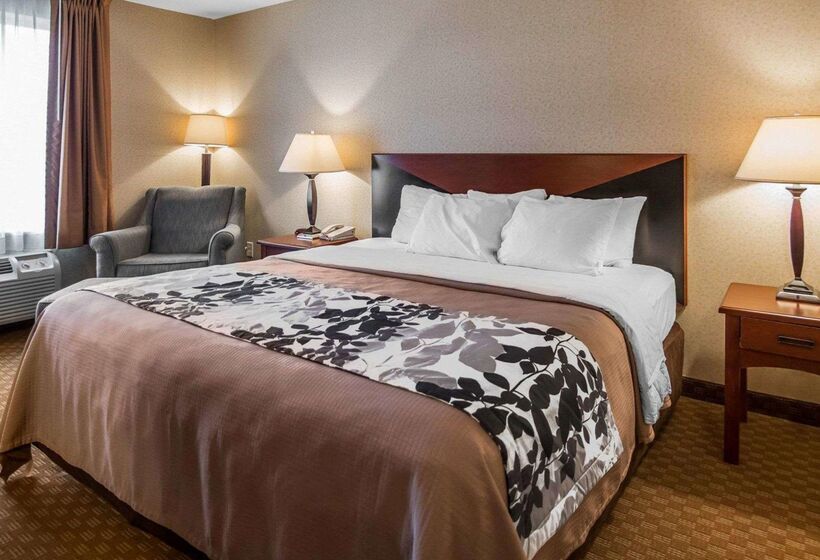 فندق Rodeway Inn & Suites