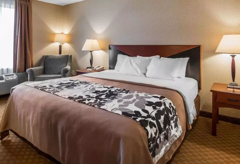 فندق Rodeway Inn & Suites