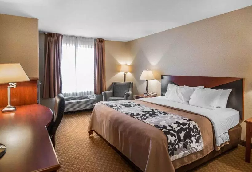 فندق Rodeway Inn & Suites