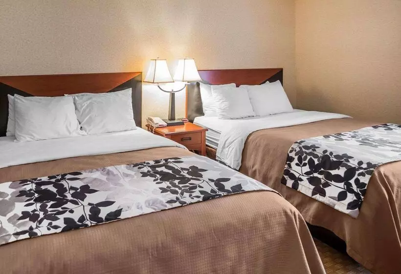 فندق Rodeway Inn & Suites