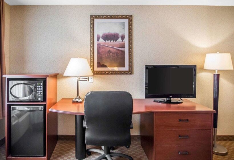 فندق Rodeway Inn & Suites