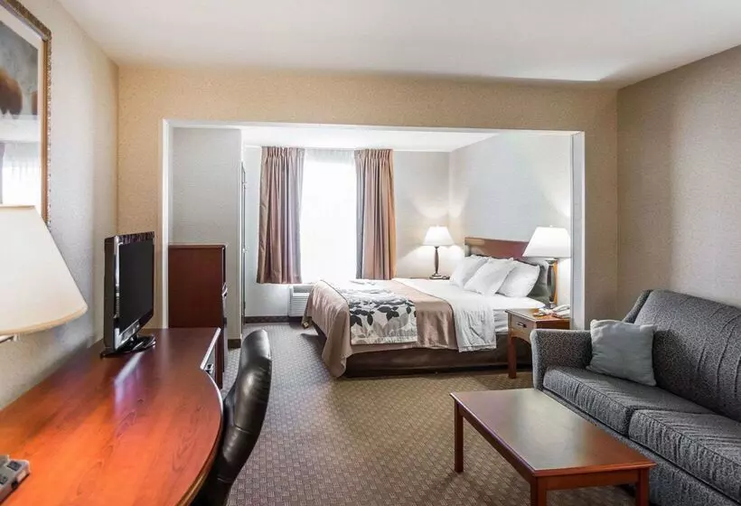 فندق Rodeway Inn & Suites