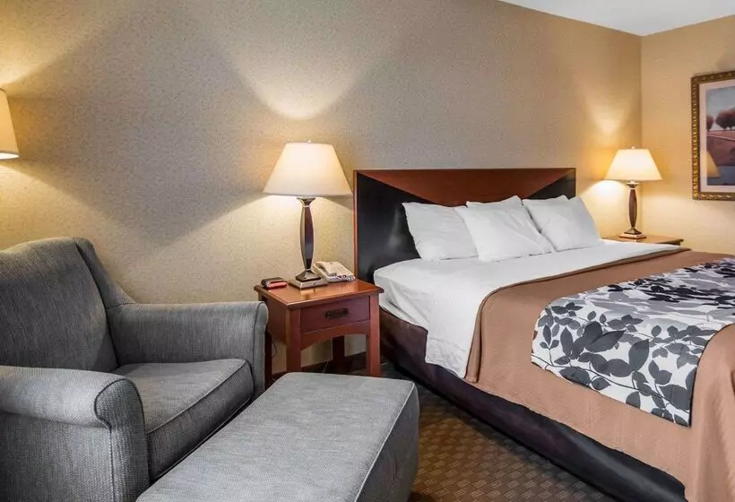 فندق Rodeway Inn & Suites