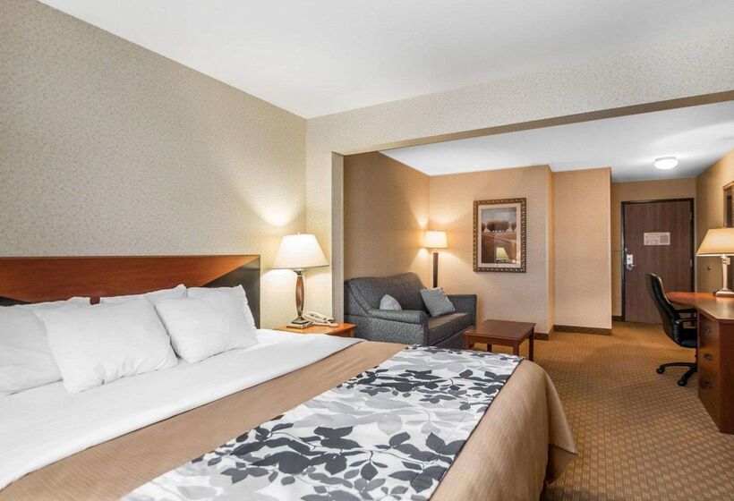 فندق Rodeway Inn & Suites