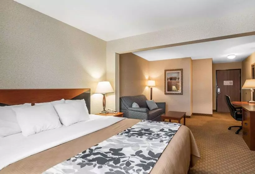 فندق Rodeway Inn & Suites