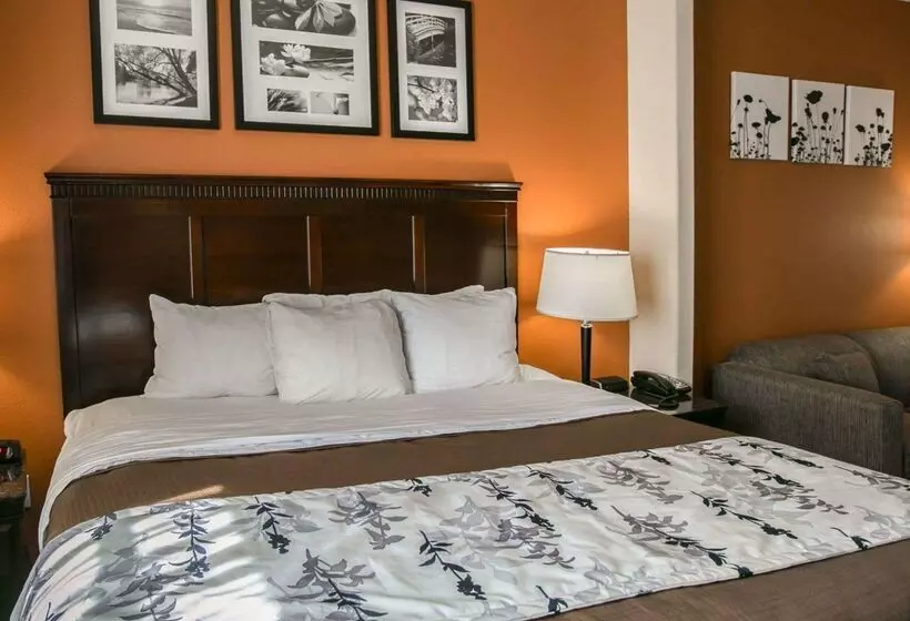 فندق Sleep Inn & Suites Hwy 290 Nw Freeway