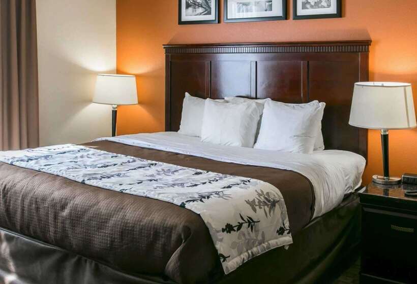 هتل Sleep Inn & Suites Hwy 290 Nw Freeway