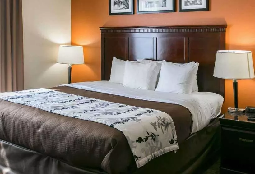 فندق Sleep Inn & Suites Hwy 290 Nw Freeway