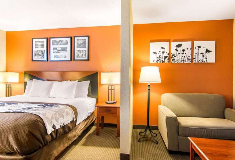 호텔 Sleep Inn & Suites