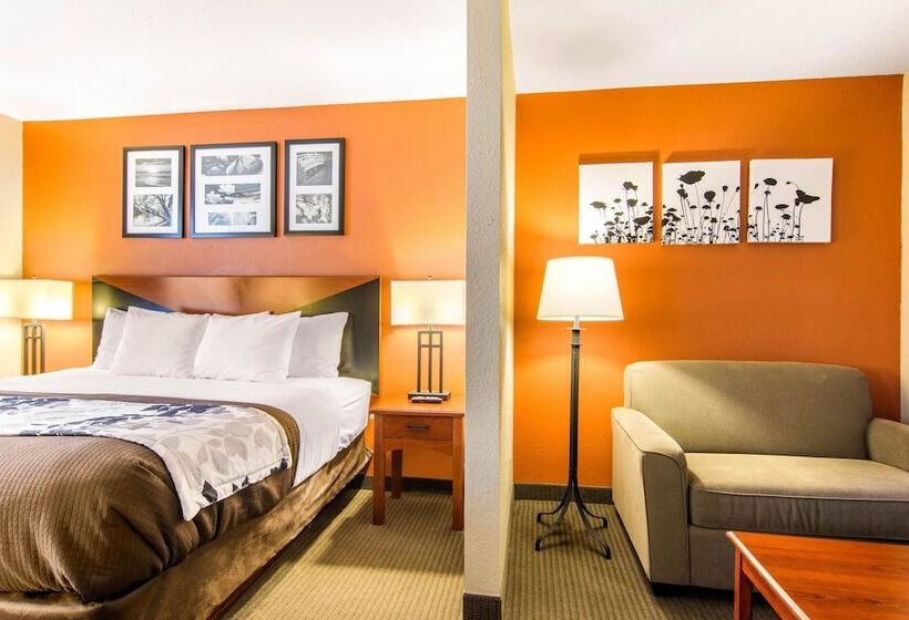 호텔 Sleep Inn & Suites